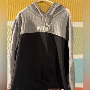 Puma Mens Essentials Block Hoodie 4XL